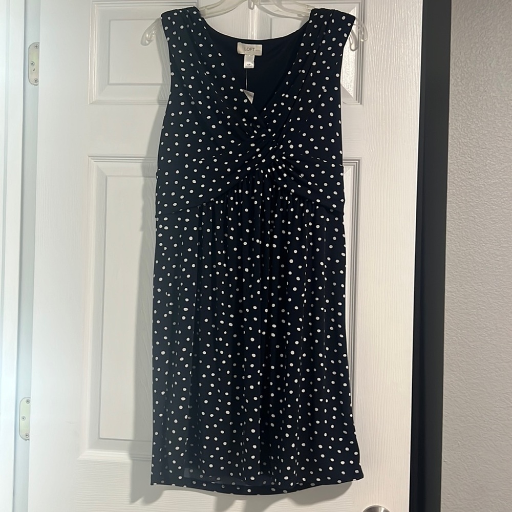 Ann Taylor Loft Petites - 10P